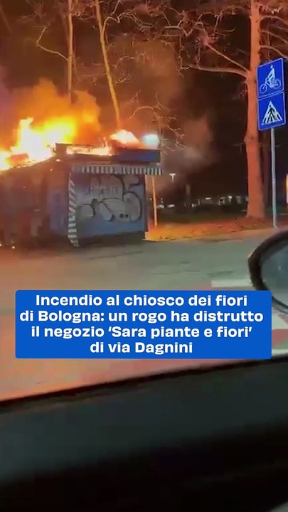 Incendio Devasta 'Sara Piante e Fiori' a Bologna: Indagini in Corso per Stabilire le Cause
