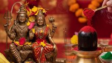 Rangbhari Ekadashi 2026: रंगभरी एकादशी के दिन शिवलिंग पर क्या चढ़ाएं, जरूर चढ़ाएं ये 1 चीज...