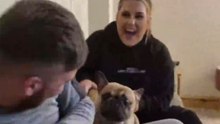 Dog becomes hilariously possessive as girl’s friend tries to give her a kiss