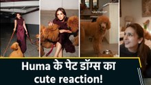 Huma Qureshi ने अपने पेट डॉग्स Toosh और Kishmish के साथ किया मजेदार ‘love test’, मील टाइम पर बदला नजारा!