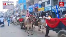 Traditional Baraat With 35 Bullock Carts Draws Crowd In Bihar’s Samastipur