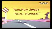 Willy il Coyote & Beep Beep - Run, Run, Sweet Road Runner