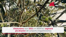 Oleoturismo, +37% esperienze legate all'olio tra il 2021 e il 2024