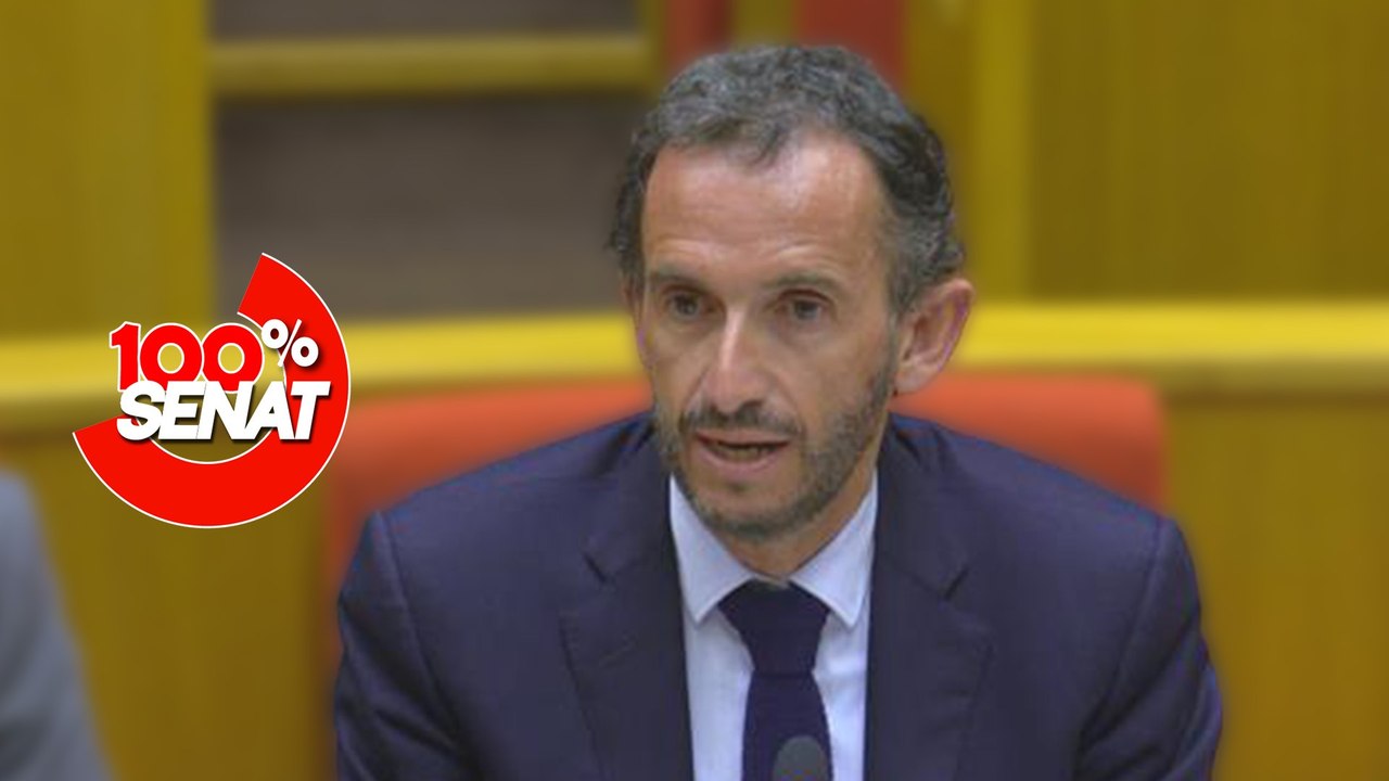 100% Sénat - Marges de la grande distribution : audition du PDG de Carrefour