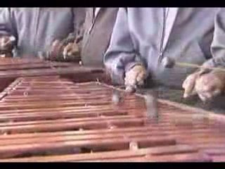 HIMNO NACIONAL DE GUATEMALA, CON MARIMBAS HUEHUETECAS