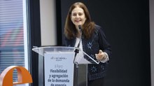 II Foro Flexibilidad y Agregación de la demanda de energía - Ponencia