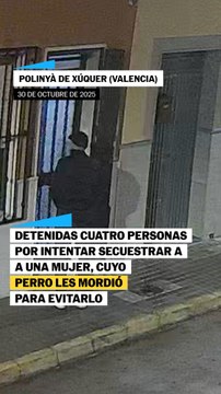 Un perro evita el secuestro de una mujer en Valencia al morder a uno de los atacantes