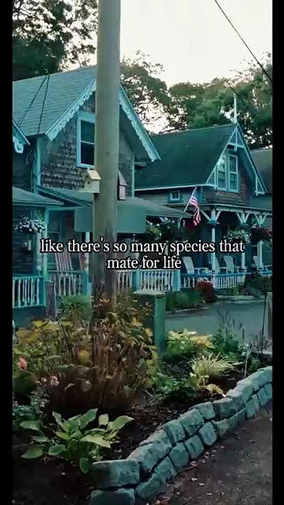 I Don’t Want Temporary Love — I Want a Lifetime