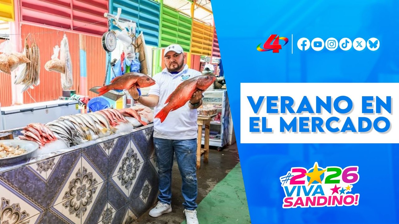 Abastecimiento garantizado: Verano 2026 en el Mercado Israel Lewites 🛒🏖️