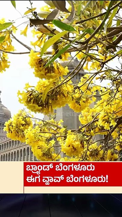 ಬ್ರಾಂಡ್ ಬೆಂಗಳೂರು ಈಗ ವಾವ್ ಬೆಂಗಳೂರು | #bengaluru #brandbengaluru #suvarnanews