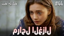 مشاهد الغزال