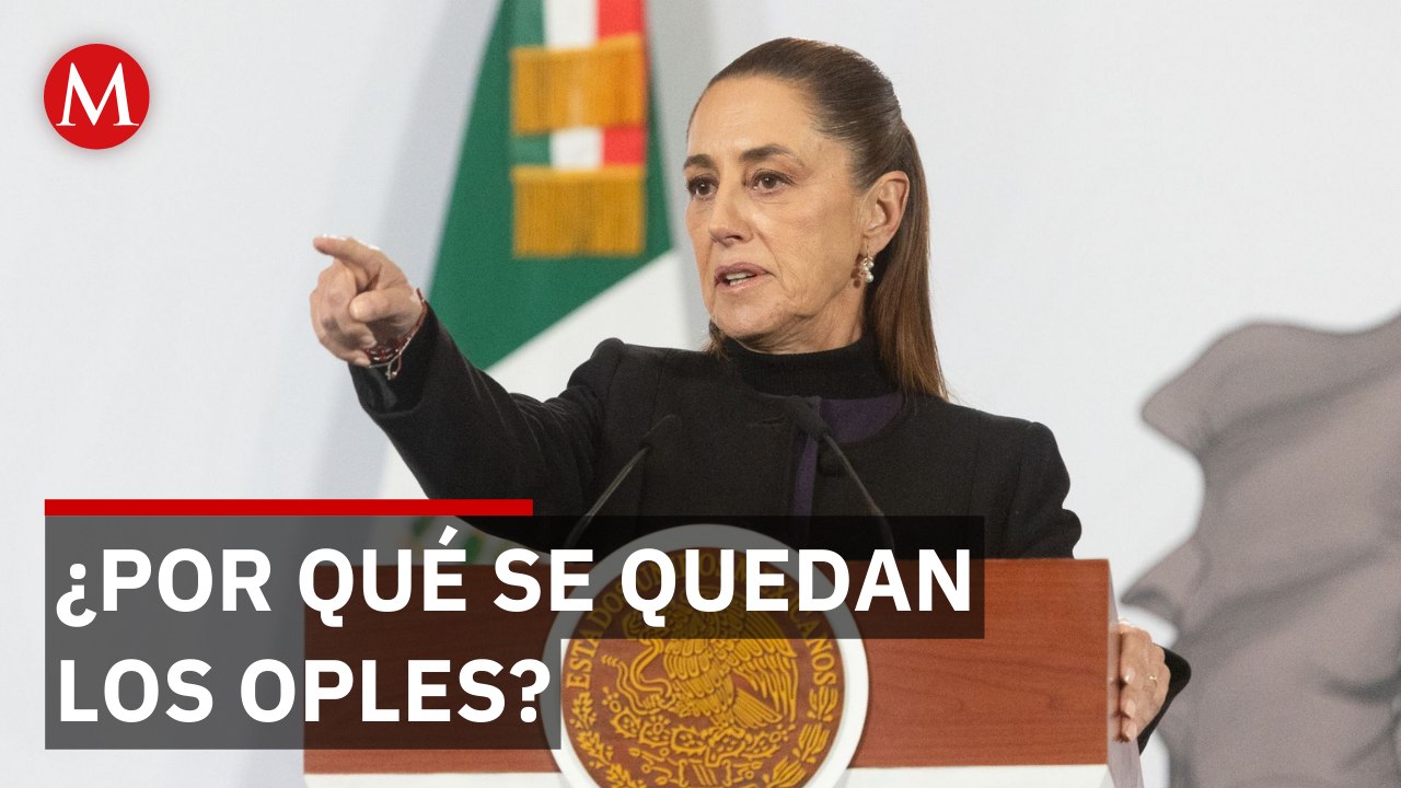 Se confirma la permanencia de los OPLEs en la Reforma Electoral