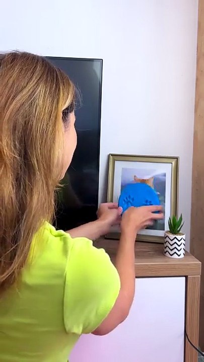 This Cat’s Revenge Was Personal 😼 (Part 2)