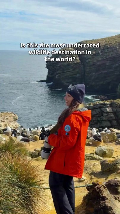 One of the Best Wildlife Destinations in the World