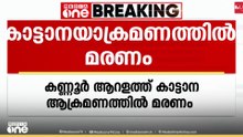 കാട്ടാന ആക്രമണത്തിൽ മരണം...