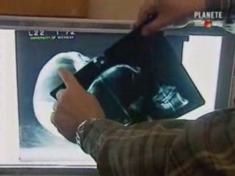 Akhenaton et Néfertiti - EP 3 PART2l2