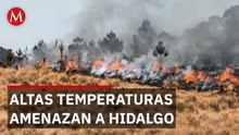Suman tres incendios de pastizales en la Huasteca hidalguense