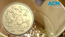Limited edition ‘six roo’ dollar released into circulation
