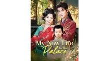 My New Life In The Palace