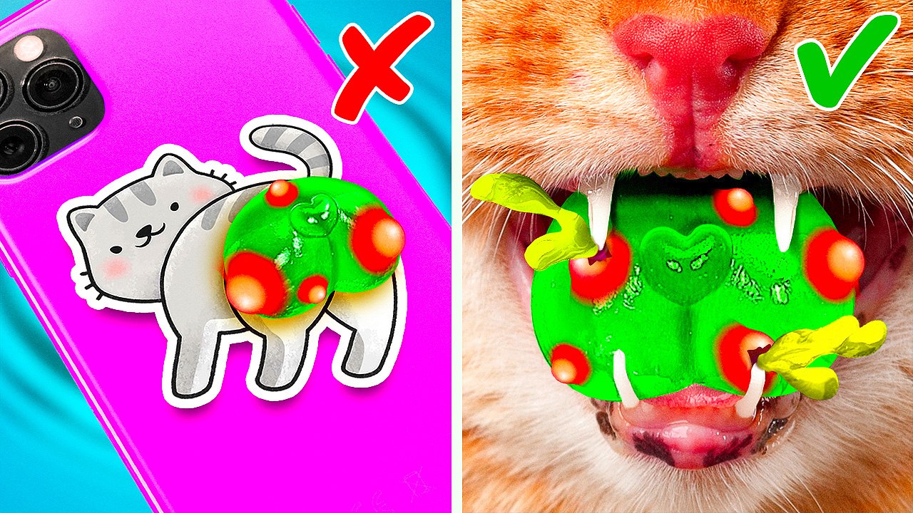 Rescue Cat from Pimples! 🙀 Cute and Crazy Gadgets and Fidget Toys! 😻