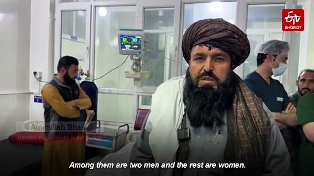 Pakistan-Afghanistan 'Open War': Afghan Forces Kill 55 Pak Soldiers, 133 Taliban Fighters Eliminated Under 'Op Ghazab Lil Haq'
