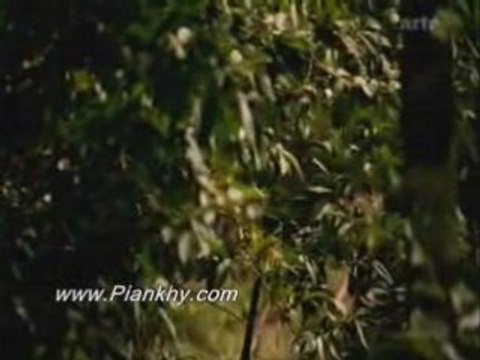 Martinique, plainte des esclaves contre les colons