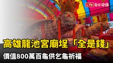 高雄龍池宮廟埕「全是錢」 價值800萬百龜供乞龜祈福