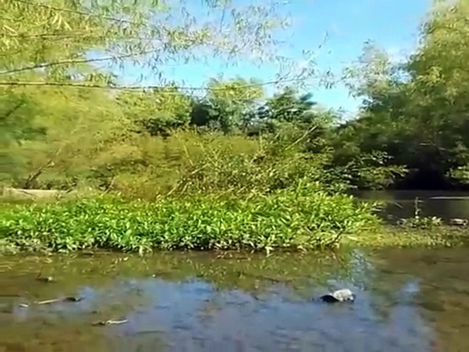 El arroyo no se pregunta si merece fluir