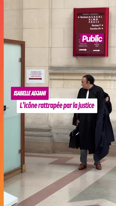 Isabelle Adjani face à ses tourments, jugée ce...
