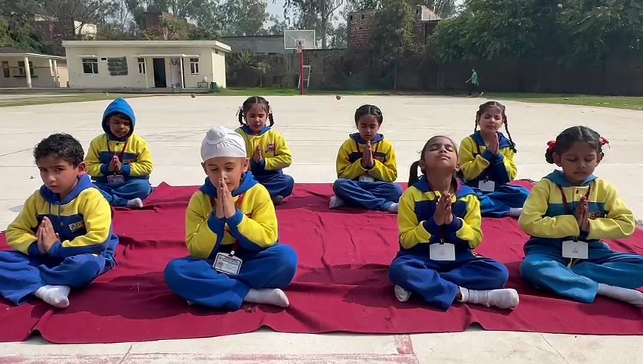 Meditation & Stretching at BIPS | Building Focus & Healthy Minds