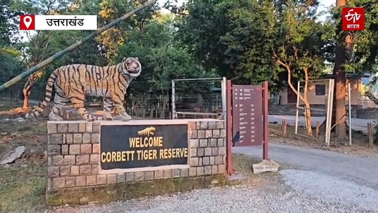 कॉर्बेट टाइगर रिजर्व में हाई अलर्ट, सीमाओं पर बढ़ाई गई चौकसी, वन कर्मियों की छुट्टियां रद्द