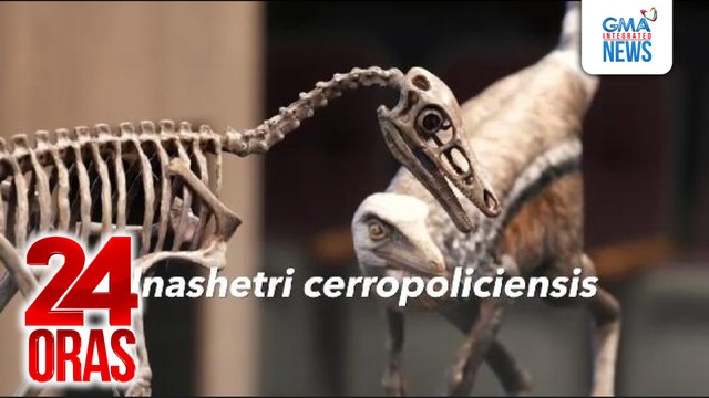 Well-preserved fossil ng isa sa pinakamaliit na dinosaur sa buong mundo, nadiskubre sa Argentina | 24 Oras