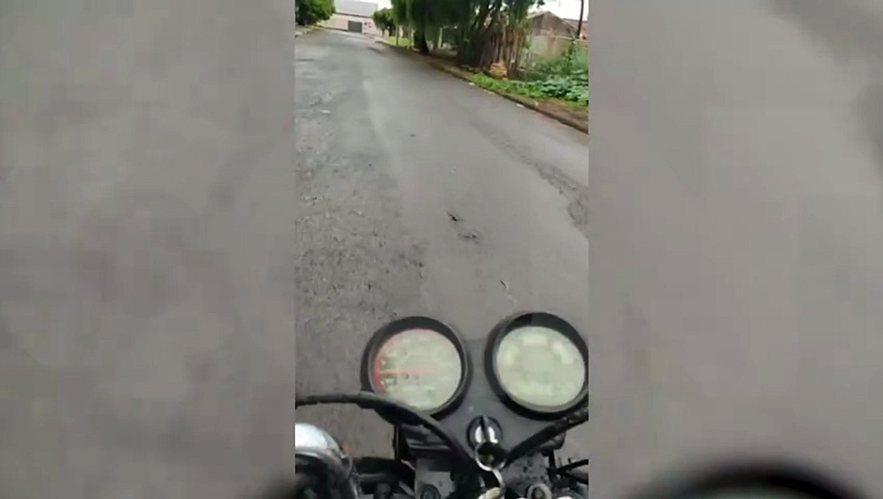 Cachorros avançam em motociclista no Bairro Paulo Godoy