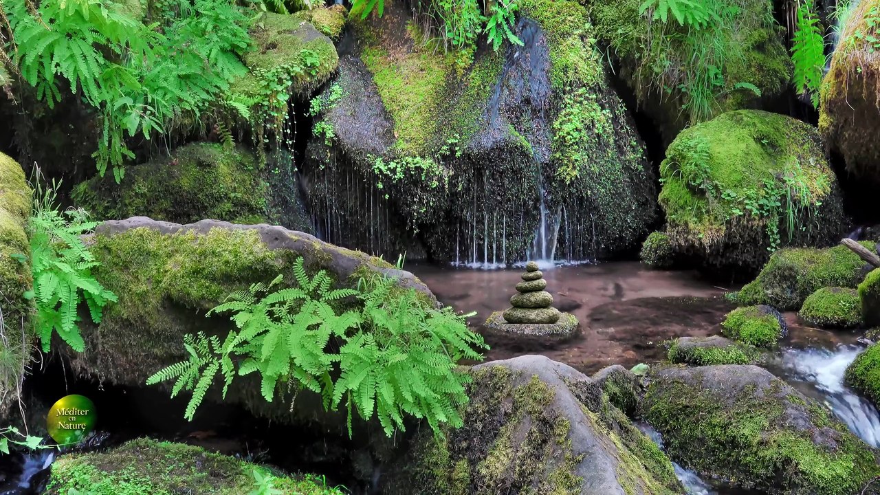 Musique de méditation près d’un ruisseau et d’une petite cascade en 4K