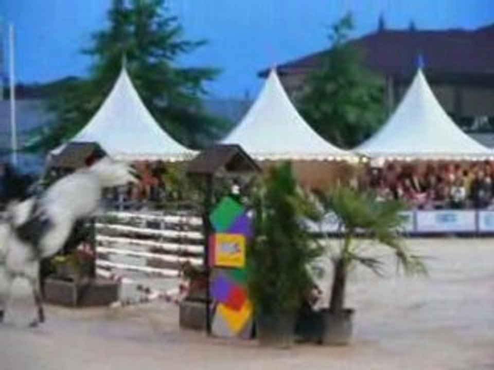 Sakita Zeldenrust Puissance CSI Bourg