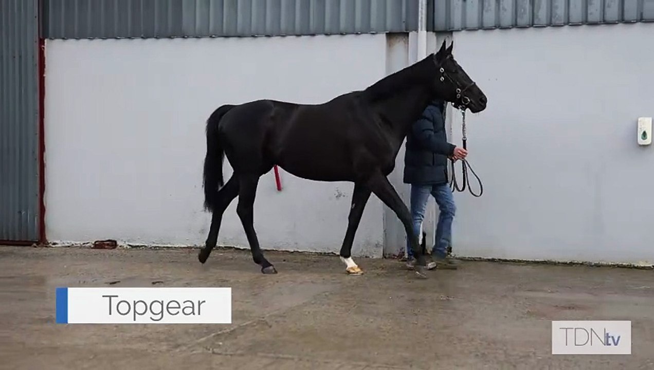 Topgear Walking Video