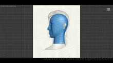 Treliving: 3DS MAX Practice Polygon Modeling Head Model Video #84 (02-27-2026)