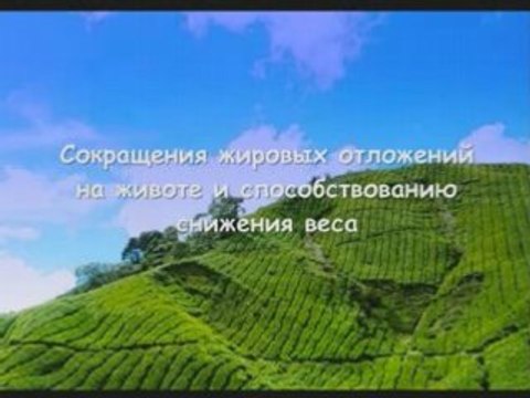 Holy_Tea_Russian_Irina