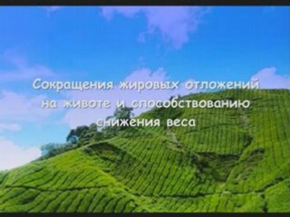 Holy_Tea_Russian_Irina