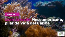 Gran Arrecife Mesoamericano, pilar de vida del Caribe