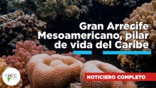 Gran Arrecife Mesoamericano, pilar de vida del Caribe | 842 | 02 al 08 de marzo de 2026