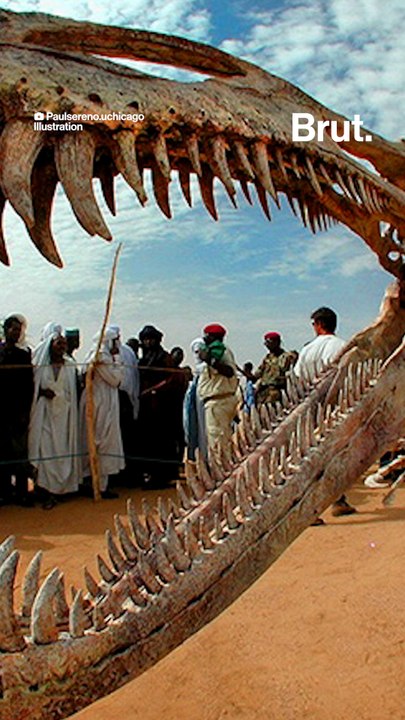 Niger : une nouvelle espèce de dinosaure identifiée dans le désert du Sahara.