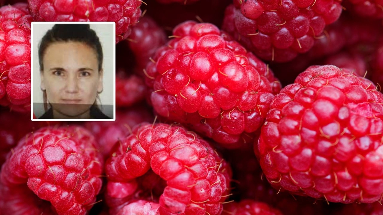La nueva pista en el caso de frambuesas envenenadas que podría marcar el rumbo de la investigación