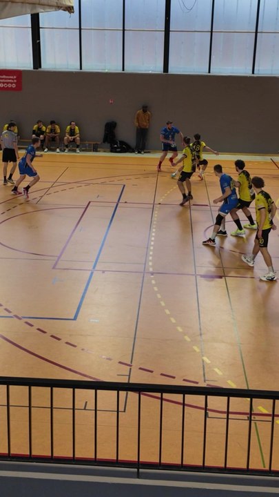 Le 9 👀 Ent Habsheim Lynx 2 Honneur Région 🤾‍♂️