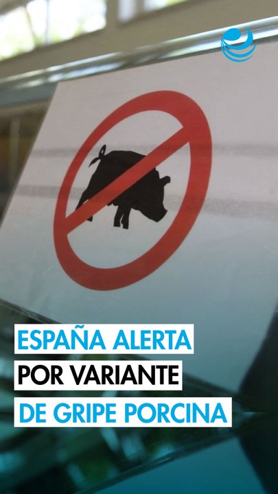 España alerta a la OMS de un virus de gripe porcina que podría haberse transmitido entre personas