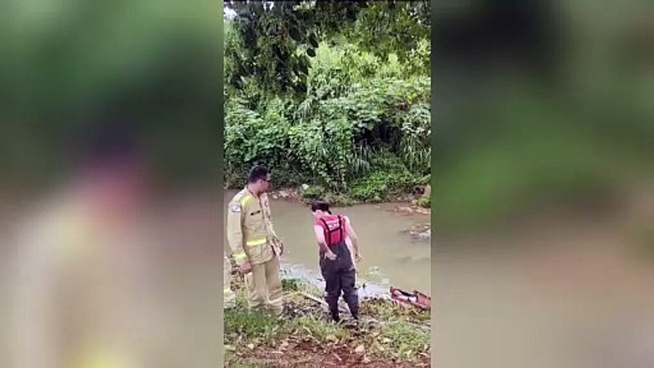 Cachorrinha é resgatada pelo Corpo de Bombeiros no Rio Atuba em Curitiba