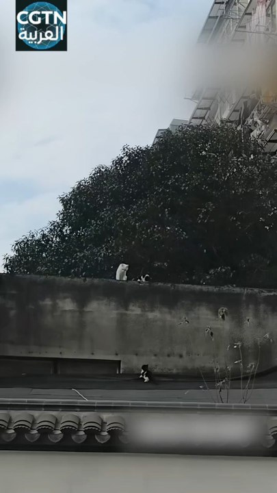 الأم علمته الدرس كيف يفعلها واستدارت لأنها متأكدة أن ابنها يستطيع