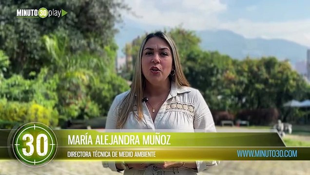 ¡Pilas pues! En Bello harán jornada especial de reciclaje este domingo