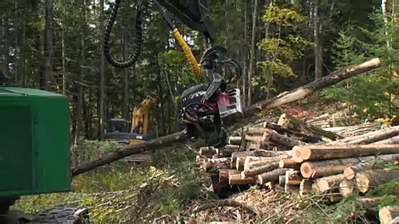 Régime forestier : une « mini-réforme » qui divise