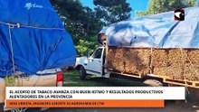 EL ACOPIO DE TABACO AVANZA CON BUEN RITMO Y RESULTADOS PRODUCTIVOS ALENTADORES EN LA PROVINCIA